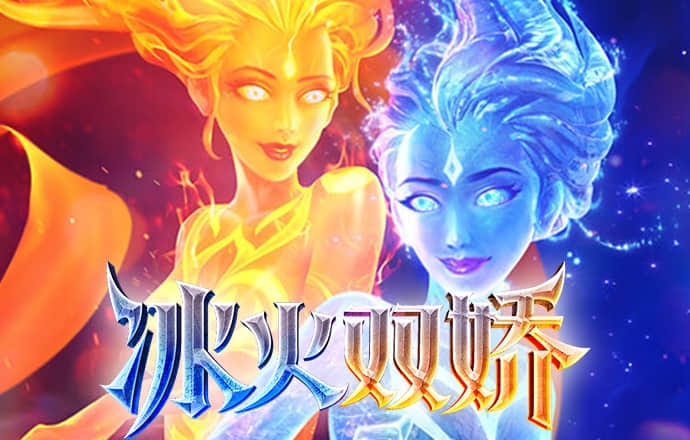 3肖6码免费公开肖